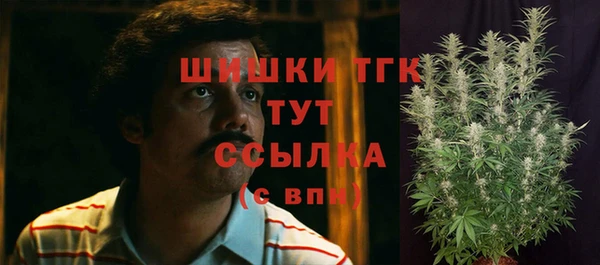 МДПВ Козельск