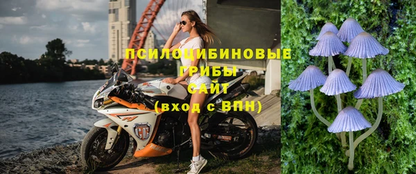 МДПВ Козельск