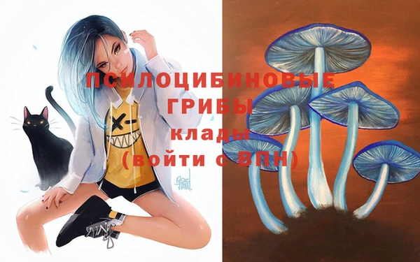 гашишное масло Козловка
