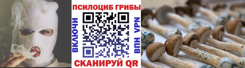 Купить закладки  Горбатов  Галлюциногенные грибы GOLDEN TEACHER 