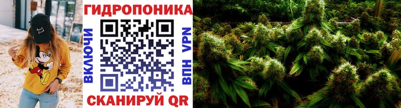 Конопля план  Купить где  Горбатов 